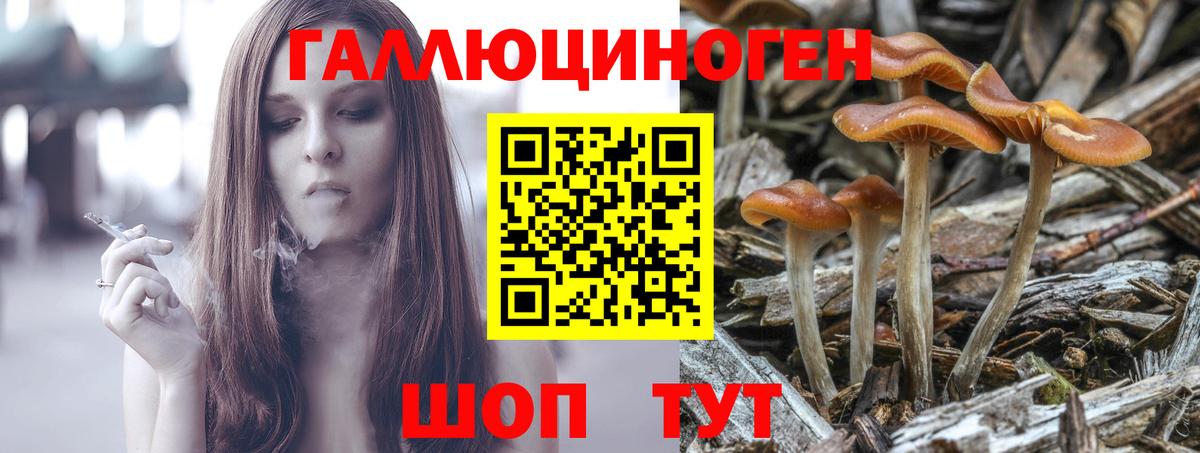 Татарск  Псилоцибиновые грибы Magic Shrooms  Вход с VPN 
